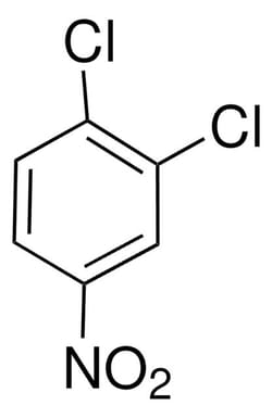 Sigma Aldrich 1,2-Dichloro-4-nitrobenzene 1 g | Buy Online | Sigma Aldrich | Fisher Scientific