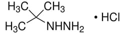 Sigma Aldrich tert-Butylhydrazine hydrochloride 1 g | Buy Online | Sigma Aldrich | Fisher Scientific