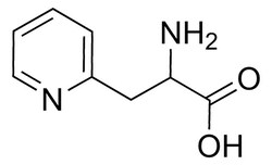 Sigma Aldrich 2-Amino-3-(pyridin-2-yl)propionic acid 1 g | Buy Online | Sigma Aldrich | Fisher Scientific