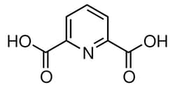 Sigma Aldrich 2,6-Pyridinedicarboxylic acid 500 g | Buy Online | Sigma Aldrich | Fisher Scientific