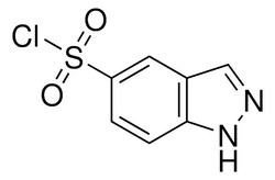Sigma Aldrich&nbsp;1H-Indazole-5-sulfonyl chloride