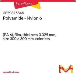 Sigma Aldrich&nbsp;Polyamide - Nylon 6