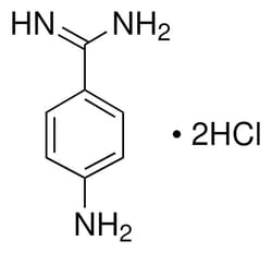 Sigma Aldrich 4-Aminobenzamidine dihydrochloride 50 g | Buy Online | Sigma Aldrich | Fisher Scientific