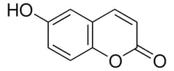 Sigma Aldrich 6-Hydroxycoumarin 1 g | Buy Online | Sigma Aldrich | Fisher Scientific