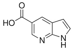 Sigma Aldrich 1H-Pyrrolo[2,3-b]pyridine-5-carboxylic acid 5 g | Buy Online | Sigma Aldrich | Fisher Scientific