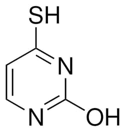 Sigma Aldrich 4-Thiouracil 1 g | Buy Online | Sigma Aldrich | Fisher Scientific