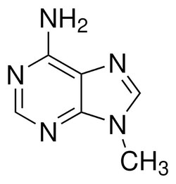 Sigma Aldrich 9-Methyladenine 1 g | Buy Online | Sigma Aldrich | Fisher Scientific