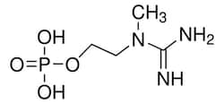 Sigma Aldrich 2-[[Amino(imino)methyl](methyl)amino]ethyl dihydrogen phosphate 1 g | Buy Online | Sigma Aldrich | Fisher Scientific