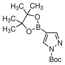 Sigma Aldrich&nbsp;1-Boc-Pyrazole-4-Boronic Acid Pinacol Ester