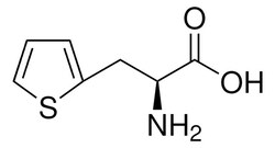 Sigma Aldrich 3-(2-Thienyl)-L-Alanine 5 mL | Buy Online | Sigma Aldrich | Fisher Scientific