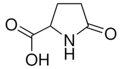 Sigma Aldrich 2-Pyrrolidone-5-Carboxylic Acid 5 g | Buy Online | Sigma Aldrich | Fisher Scientific