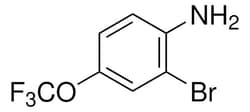 Sigma Aldrich 2-Bromo-4-(trifluoromethoxy)aniline 1 g | Buy Online | Sigma Aldrich | Fisher Scientific
