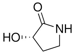 Sigma Aldrich&nbsp;(S)-3-hydroxy-pyrrolidin-2-one