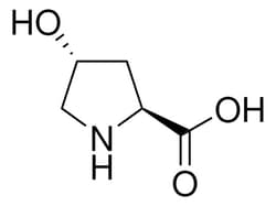 Sigma Aldrich Trans-4-Hydroxy-L-Proline 100 g | Buy Online | Sigma Aldrich | Fisher Scientific
