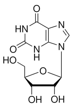 Sigma Aldrich&nbsp;Xanthosine