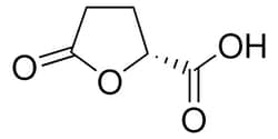 Sigma Aldrich -(-)-5-Oxo-2-Tetrahydrofurancarboxylic Acid 5 g | Buy Online | Sigma Aldrich | Fisher Scientific