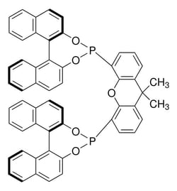 Sigma Aldrich (11Br,11'Br)-4,4'-(9,9-Dimethyl-9H-Xanthene-4,5-Diyl)Bis-Dinaphtho[2,1-D:1', 2'-F][1,3,2]Dioxaphosphepin 1 g | Buy Online | Sigma Aldrich | Fisher Scientific