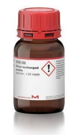 Sigma Aldrich Silver-Exchanged Zeolite 25 g | Buy Online | Sigma Aldrich | Fisher Scientific