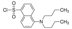 Sigma Aldrich 5-(Dibutylamino)-1-naphthalenesulfonyl chloride 250 mg | Buy Online | Sigma Aldrich | Fisher Scientific