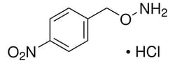 Sigma Aldrich O-(4-Nitrobenzyl)hydroxylamine hydrochloride 1 g | Buy Online | Sigma Aldrich | Fisher Scientific