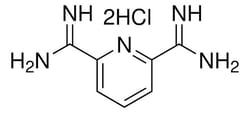 Sigma Aldrich Pyridine-2,6-Bis(Carboximidamide) Dihydrochloride 1 g | Buy Online | Sigma Aldrich | Fisher Scientific