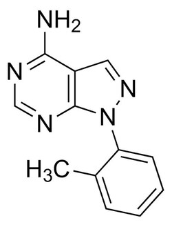 Sigma Aldrich 1-o-tolyl-1H-pyrazolo[3,4-d]pyrimidin-4-amine 5 g | Buy Online | Sigma Aldrich | Fisher Scientific