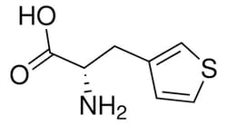 Sigma Aldrich&nbsp;L-3-thienylalanine