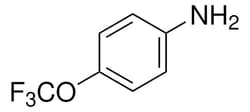 Sigma Aldrich 4-(Trifluoromethoxy)aniline 1 g | Buy Online | Sigma Aldrich | Fisher Scientific