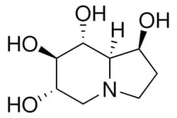 Sigma Aldrich&nbsp;(1S,6S,7R,8R,8Ar)-1,6,7,8-Tetrahydroxyindolizidine
