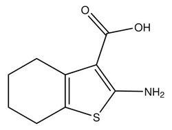 Sigma Aldrich 2-Amino-4,5,6,7-tetrahydrobenzo[b]thiophene-3-carboxylic acid 25 mL | Buy Online | Sigma Aldrich | Fisher Scientific