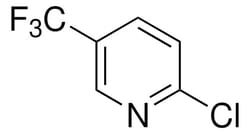 Sigma Aldrich 2-Chloro-5-(trifluoromethyl)pyridine 50 g | Buy Online | Sigma Aldrich | Fisher Scientific