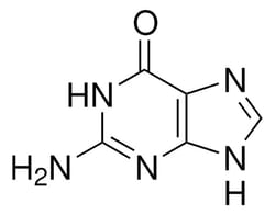 Sigma Aldrich Guanine 25 g | Buy Online | Sigma Aldrich | Fisher Scientific