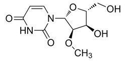 Sigma Aldrich&nbsp;2'-o-Methyluridine