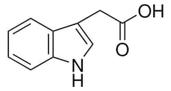 Sigma Aldrich 3-Indoleacetic acid 5 g | Buy Online | Sigma Aldrich | Fisher Scientific