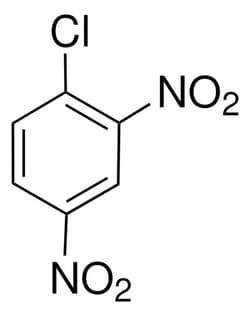 Sigma Aldrich 1-Chloro-2,4-dinitrobenzene 5 g | Buy Online | Sigma Aldrich | Fisher Scientific