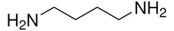 Sigma Aldrich 1,4-Diaminobutane 500 g | Buy Online | Sigma Aldrich | Fisher Scientific