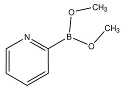Sigma Aldrich Pyridine-2-boronic acid, dimethyl ester 250 mL | Buy Online | Sigma Aldrich | Fisher Scientific