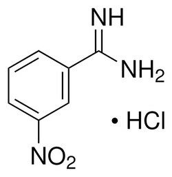 Sigma Aldrich 3-Nitrobenzamidine hydrochloride 1 g | Buy Online | Sigma Aldrich | Fisher Scientific