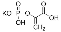 Sigma Aldrich Phospho(enol)pyruvic acid monopotassium salt 250 mg | Buy Online | Sigma Aldrich | Fisher Scientific