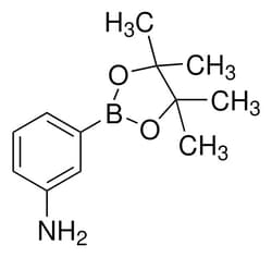 Sigma Aldrich 3-Aminophenylboronic Acid Pinacol Ester 1 g | Buy Online | Sigma Aldrich | Fisher Scientific