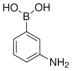Sigma Aldrich 3-Aminophenylboronic Acid 1 g | Buy Online | Sigma Aldrich | Fisher Scientific