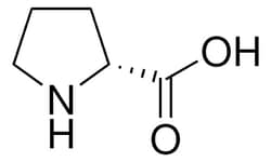 Sigma Aldrich D-Proline 5 g | Buy Online | Sigma Aldrich | Fisher Scientific
