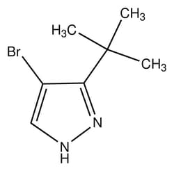 Sigma Aldrich&nbsp;4-Bromo-3-tert-butyl-1H-pyrazole