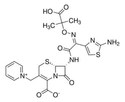 Sigma Aldrich&nbsp;Ceftazidime