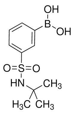 Sigma Aldrich&nbsp;tert-Butyl 3-boronobenzenesulfonamide