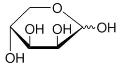 Sigma Aldrich D-(-)-Lyxose 5 g | Buy Online | Sigma Aldrich | Fisher Scientific