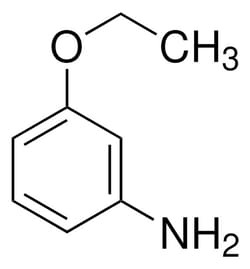 Sigma Aldrich 3-Ethoxyaniline 1 g | Buy Online | Sigma Aldrich | Fisher Scientific