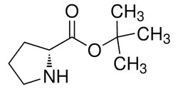 Sigma Aldrich&nbsp;h-D-pro-otbu