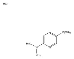 Sigma Aldrich&nbsp;2-(N,N-Dimethylamino)pyridine-5-boronic acid dihydrochloride