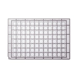 Simport&trade; Scientific&nbsp;Bioblock&trade; Polypropylene Deep Well Plates, U-bottom